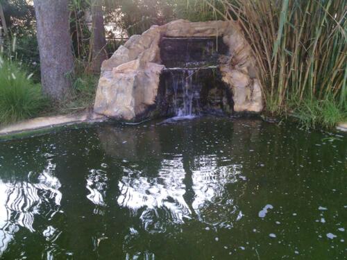 Limassol Zoo Park - Fish Pond and Biopools